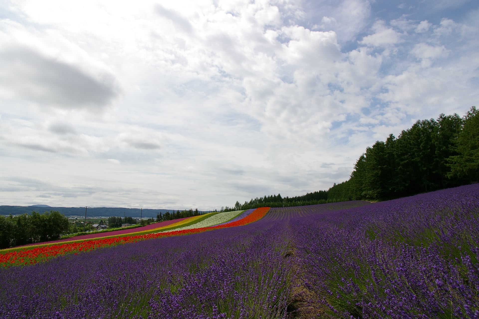 Furano area