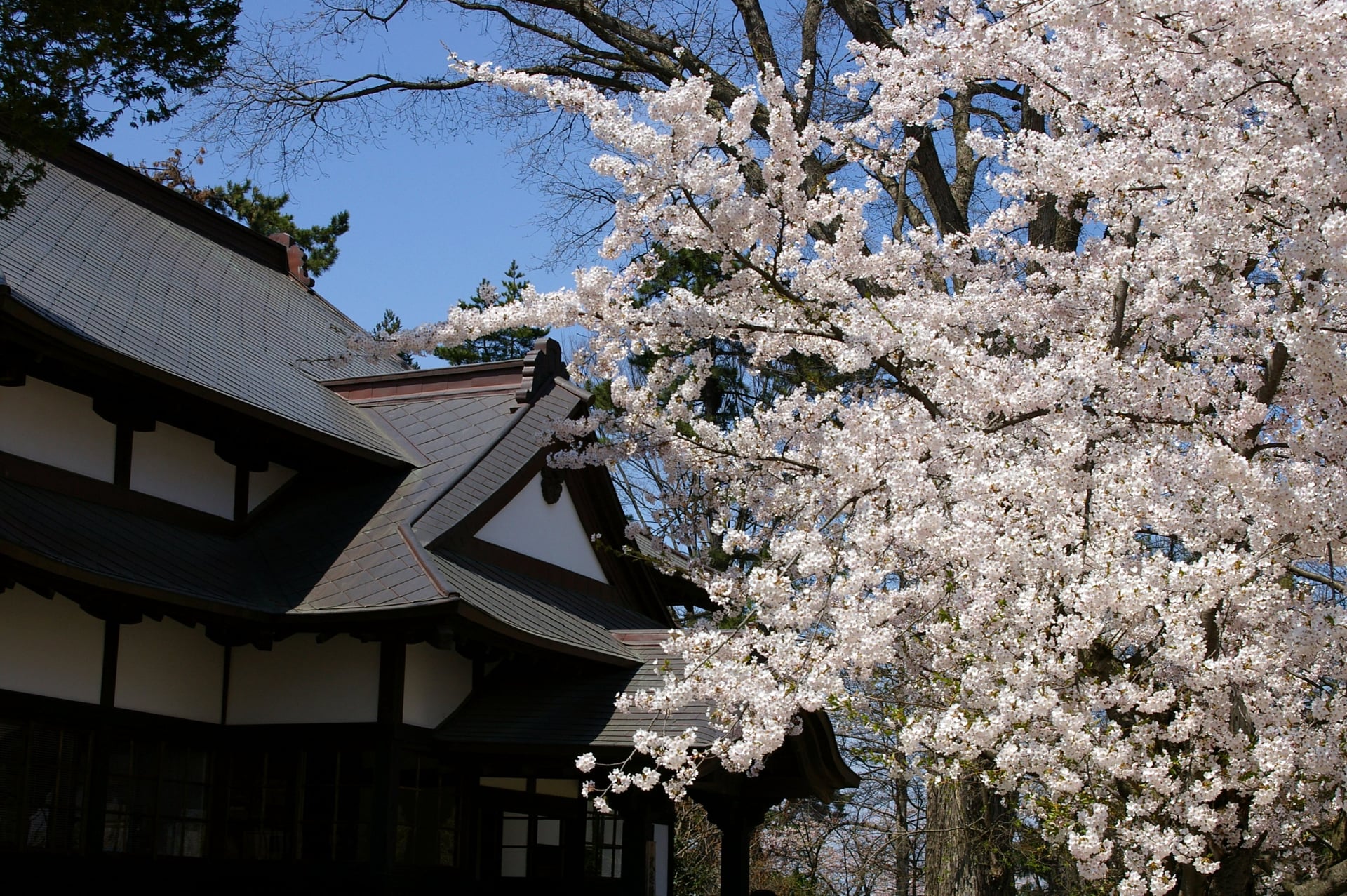 Hirosaki Park & Temple District